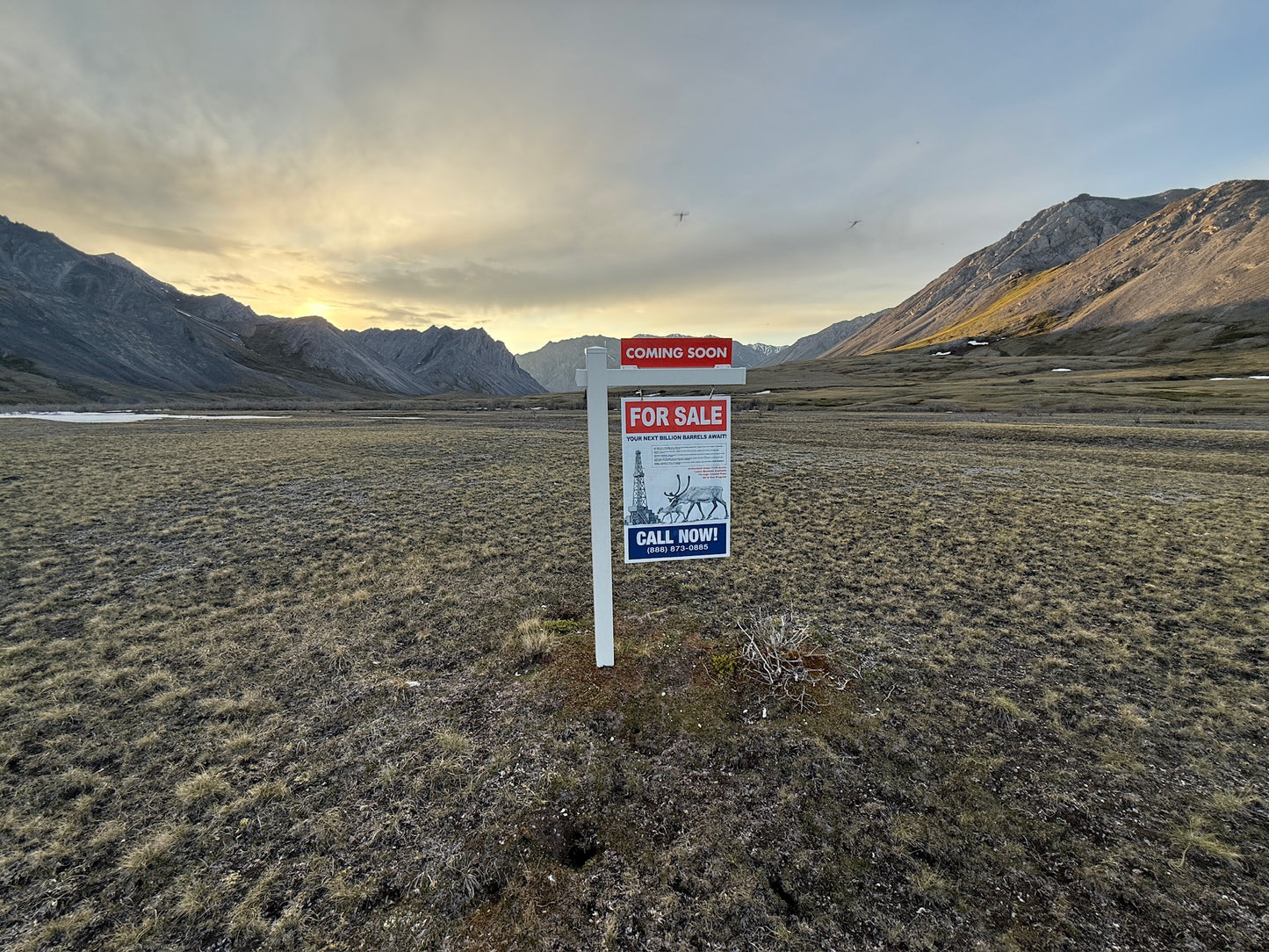 Not For Sale Real Estate Sign