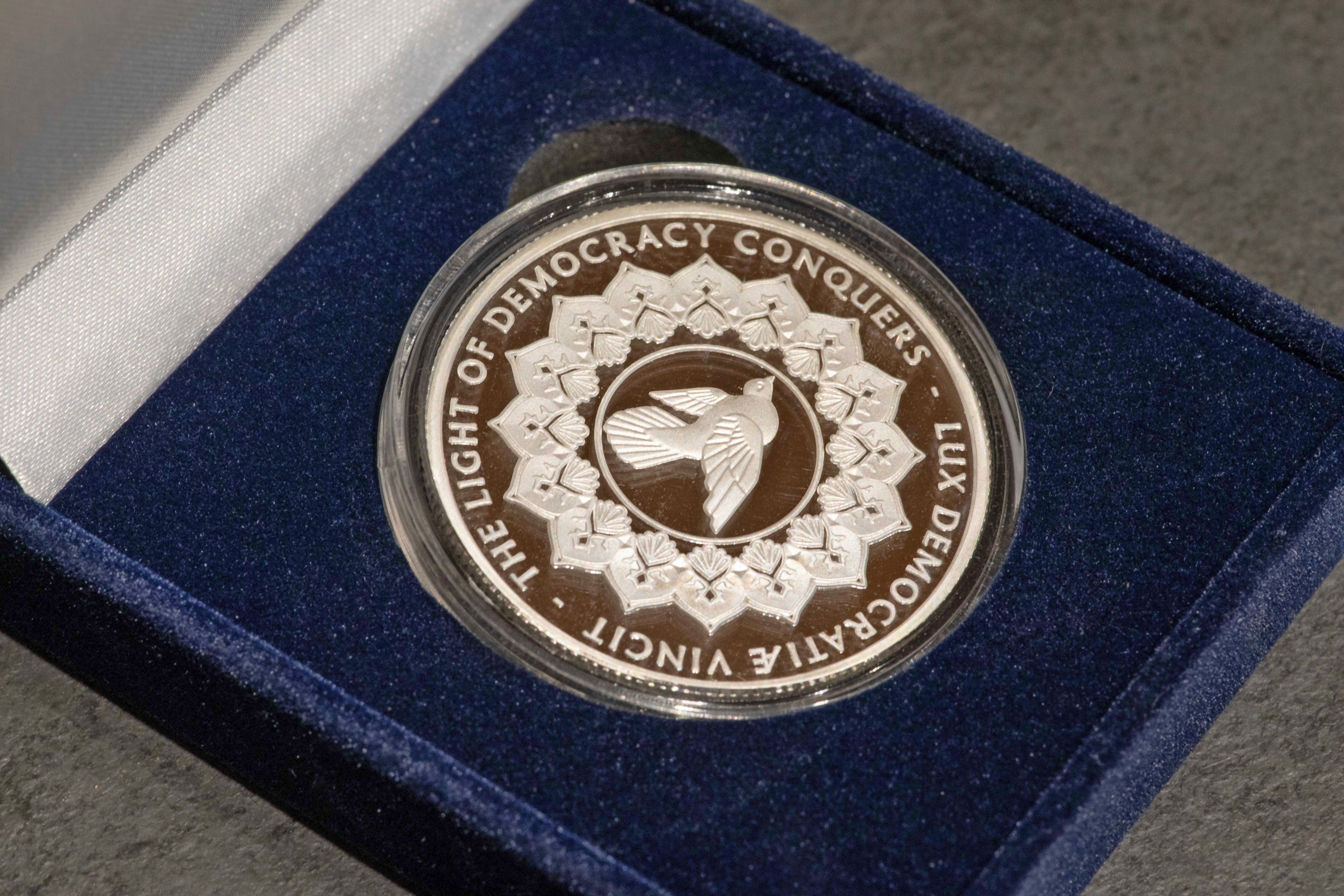 Solid Silver Coin by Shepard Fairey – Amplifier Store